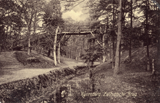 10108 Gezicht op de Zwitserse brug boven een spreng in een gemengd bos bij Driebergen. N.B.De gemeenten Driebergen en ...